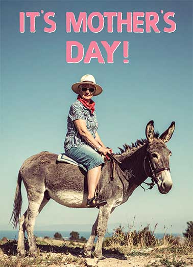 Take Your Ass Out MD Funny Mother's Day Card  Send someone a personalized greeting card just in time for Mother's Day! | Mom jackass donkey take your ass out and celebrate  Take Your Ass Out And Celebrate! 